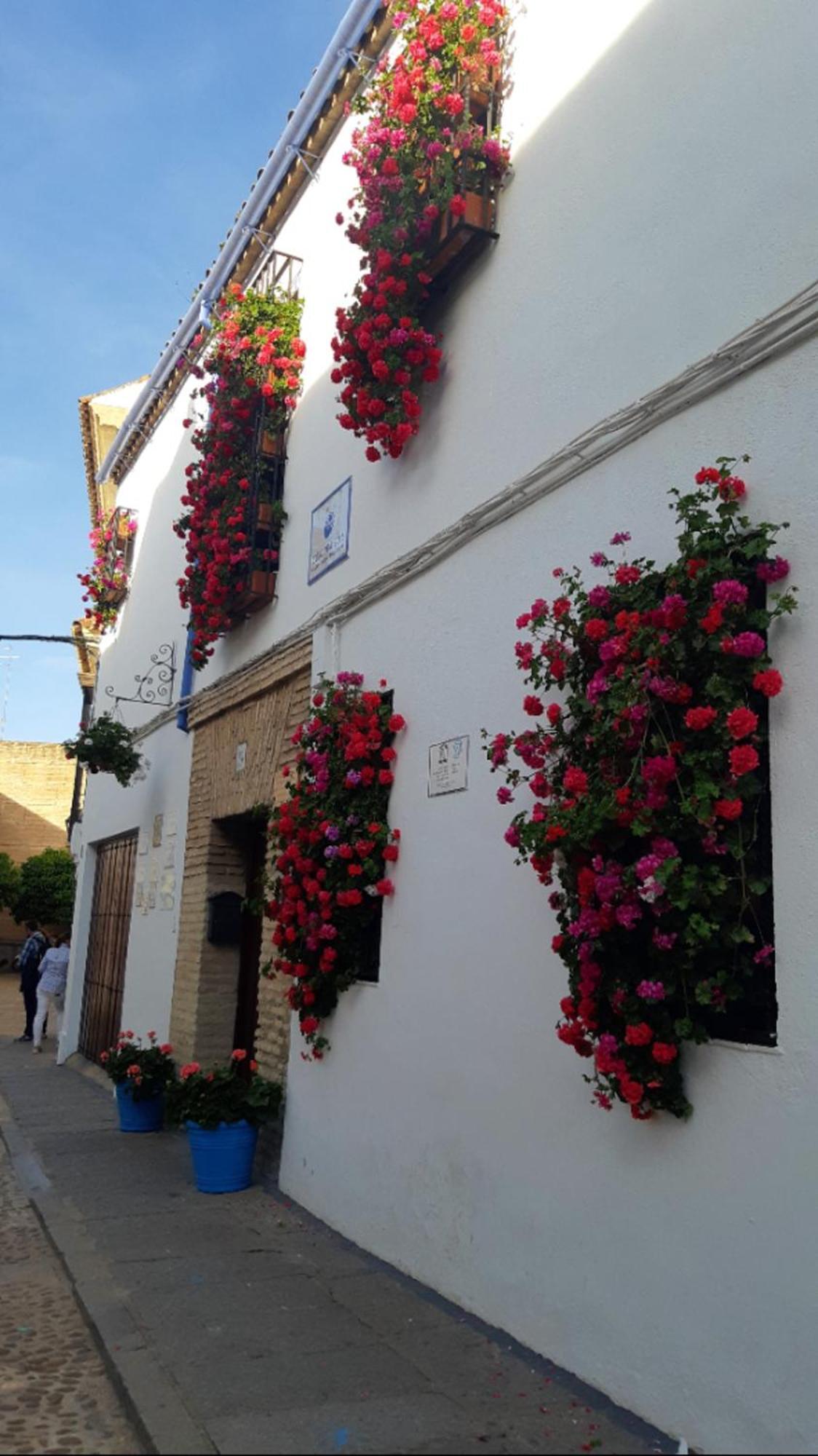 Ferienwohnung Apartamento En Barrio San Basilio Córdoba Exterior foto